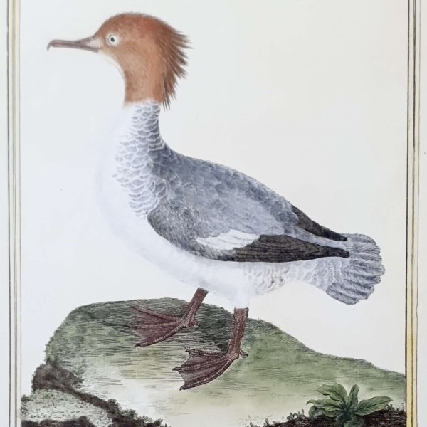 MARTINET, François Nicolas