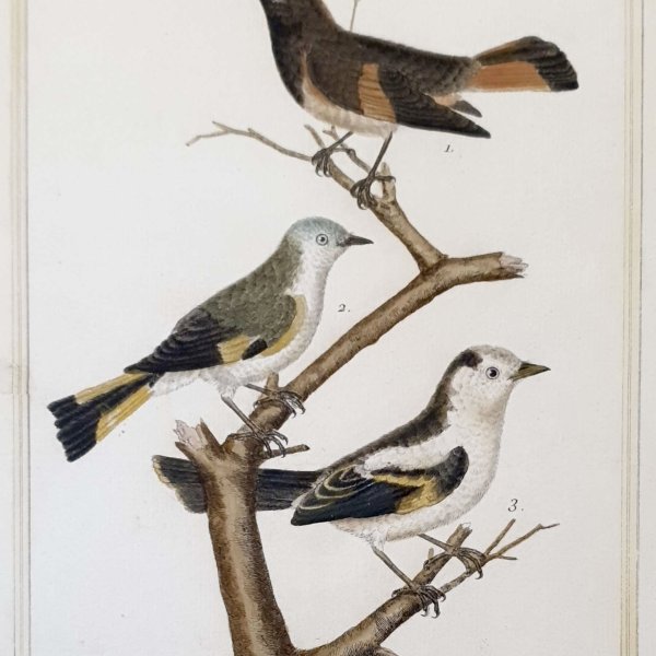 MARTINET, François Nicolas