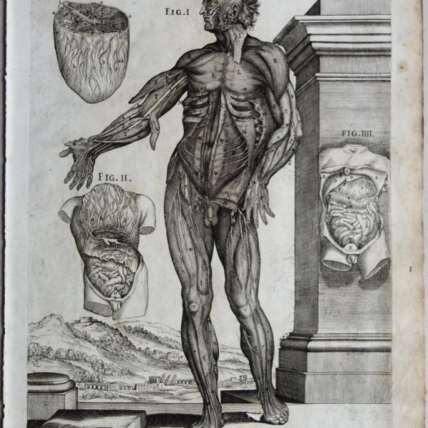 CORTONE Pierre de (d'après)