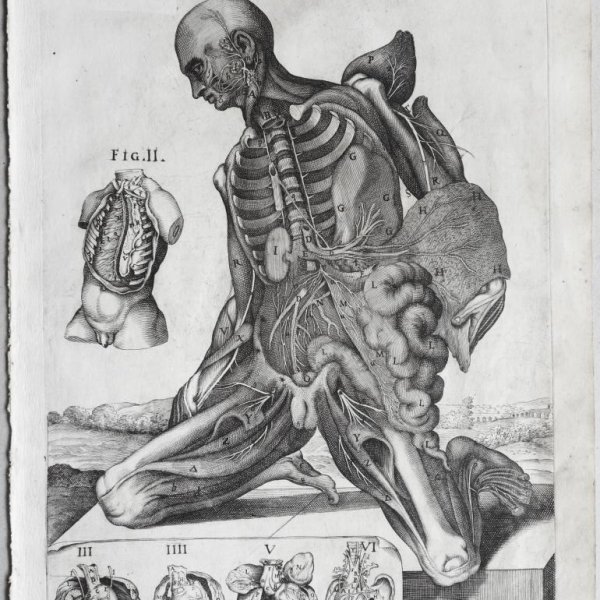 CORTONE Pierre de (d'après)