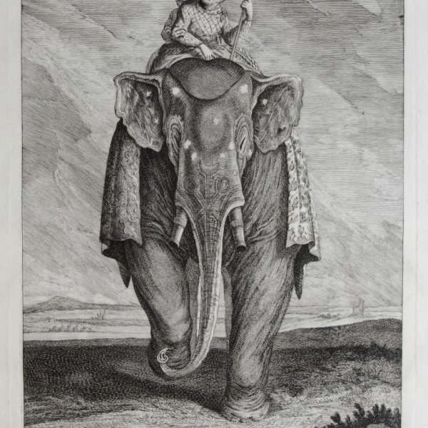 RIDINGER Martin Elias