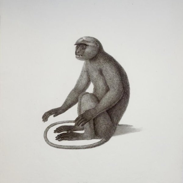 AUDEBERT Jean Baptiste