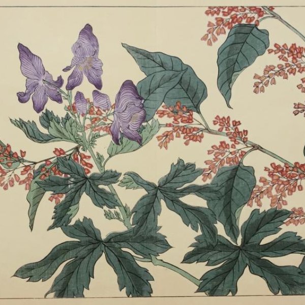 ECOLE JAPONAISE  XIXe XXe