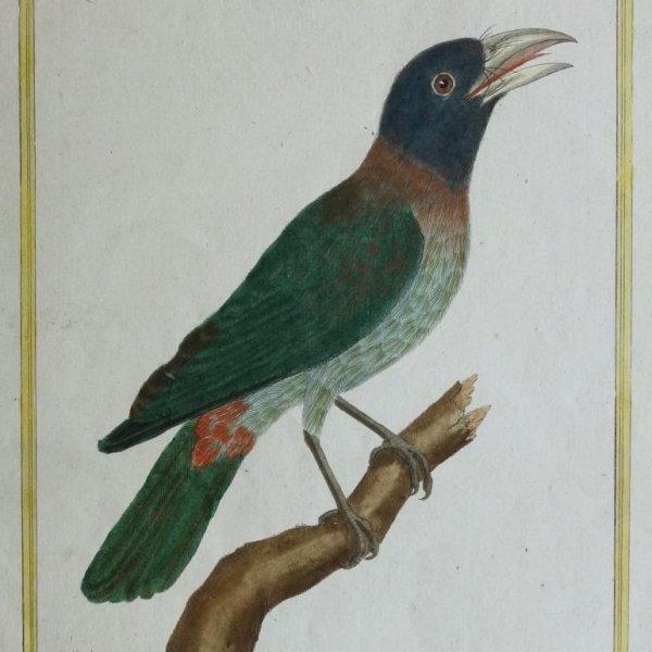 MARTINET François Nicolas