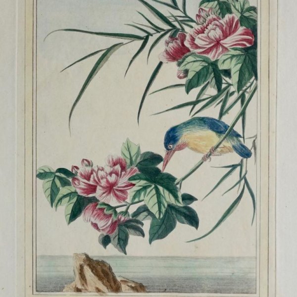 BUC'HOZ Pierre-Joseph