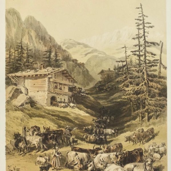 LALAISSE François Hippolyte