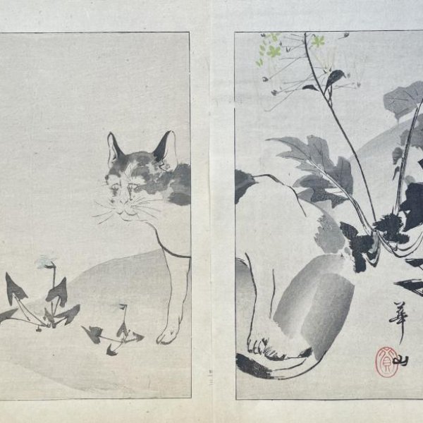 KAZAN Yokoyama (d'après)