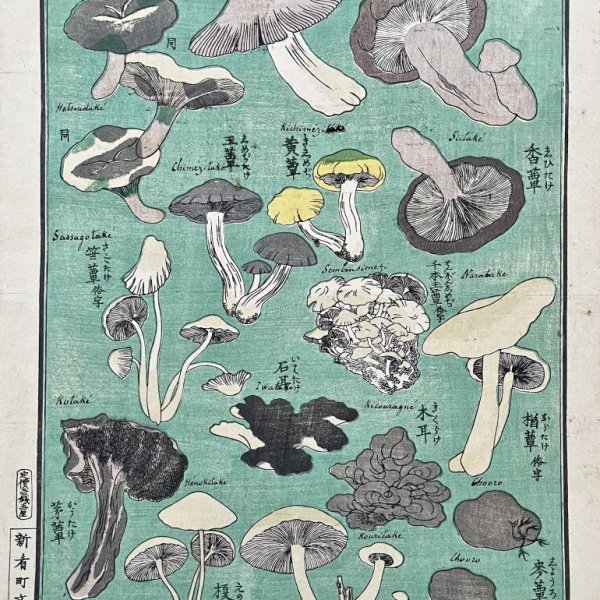 ECOLE JAPONAISE MEIJI