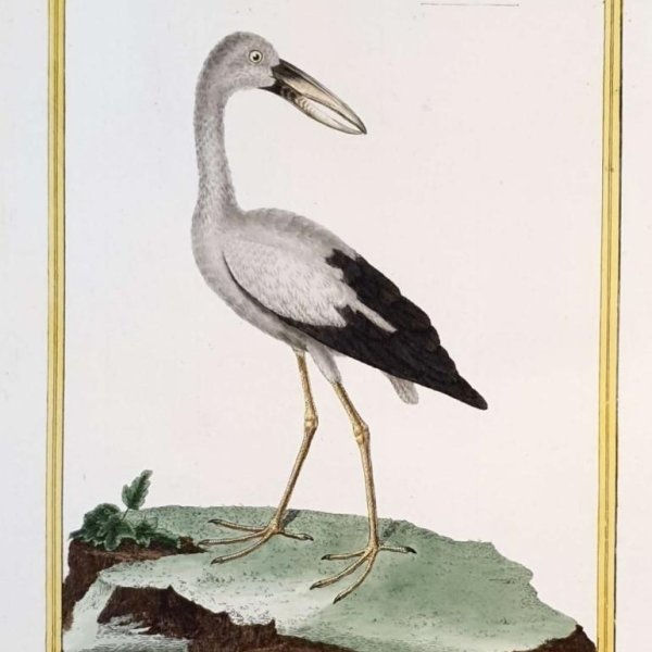 MARTINET, François Nicolas