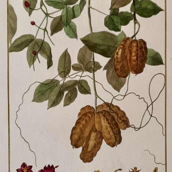 CHOFFARD Pierre Philippe