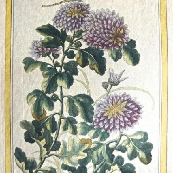 BUCHOZ Pierre Joseph