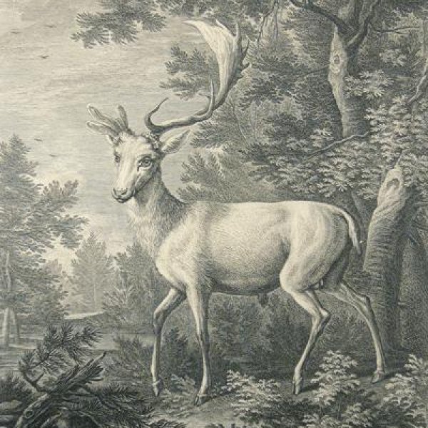 RIDINGER Martin Elias