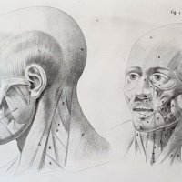 LAVALÉE Jean-Jacques