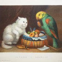 REGNIER Claude, BETTANIER Joseph et MORLON