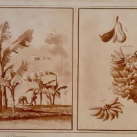 HOUËL Jean Pierre Louis Laurent