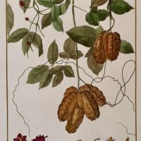 CHOFFARD Pierre Philippe