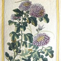 BUCHOZ Pierre Joseph