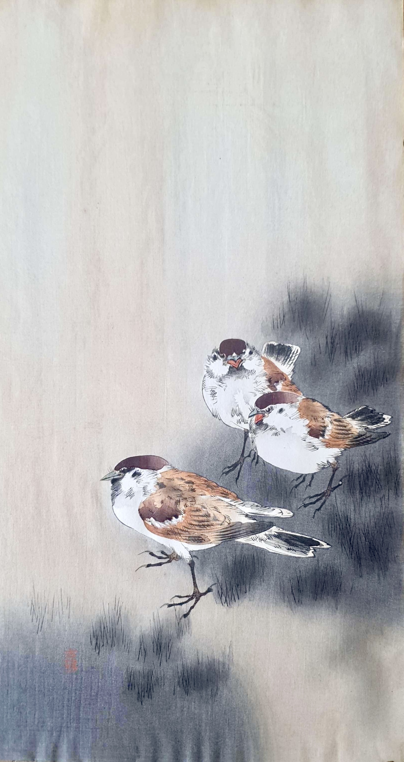 KOSON Ohara