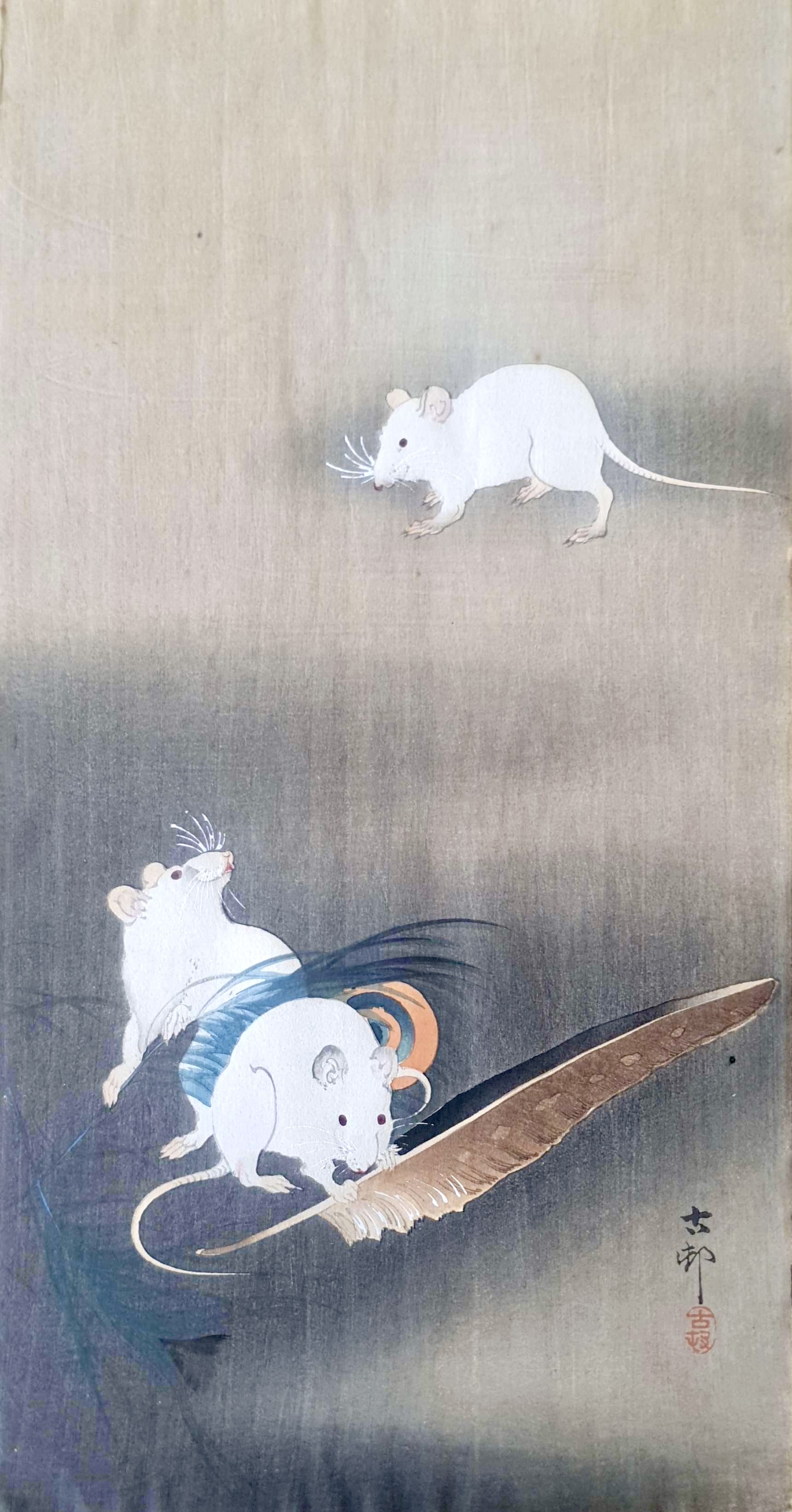 KOSON Ohara
