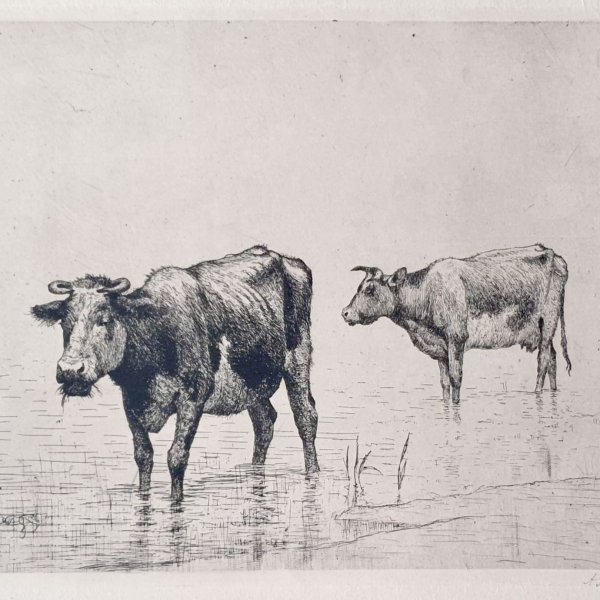 STENGELIN Alphonse