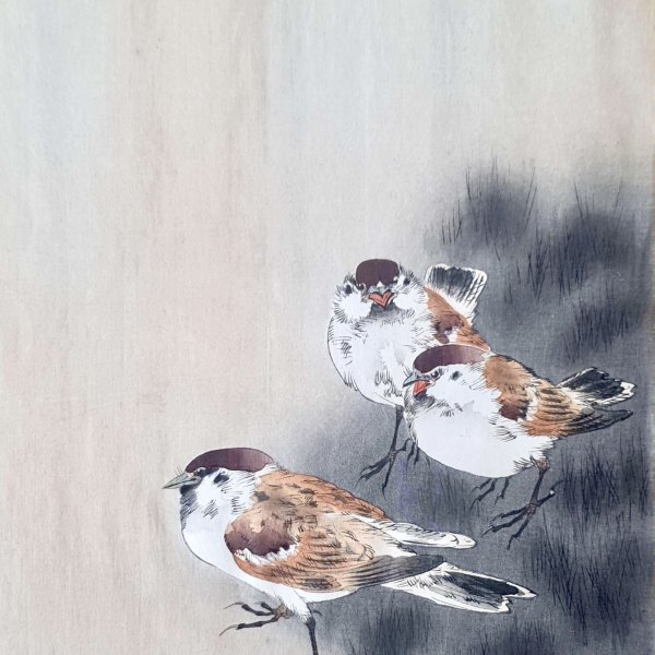 KOSON Ohara