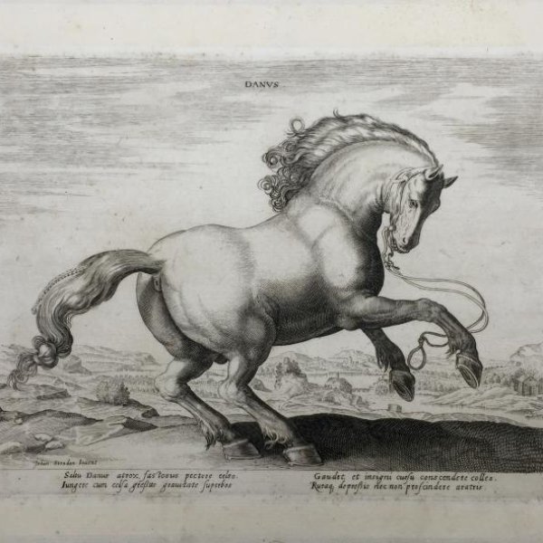 daprès VAN DER STRAET Jan