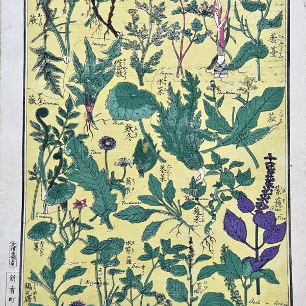 ECOLE JAPONAISE MEIJI