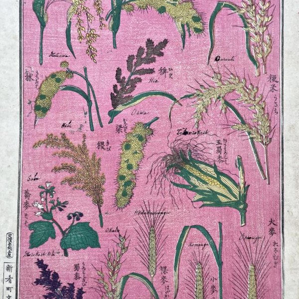 ECOLE JAPONAISE MEIJI