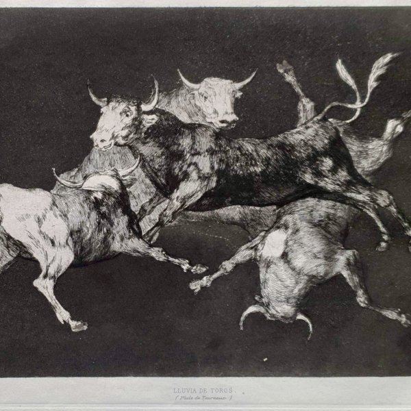 GOYA Y LUCIENTES Francisco de