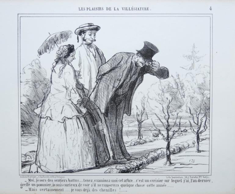 DAUMIER Honor