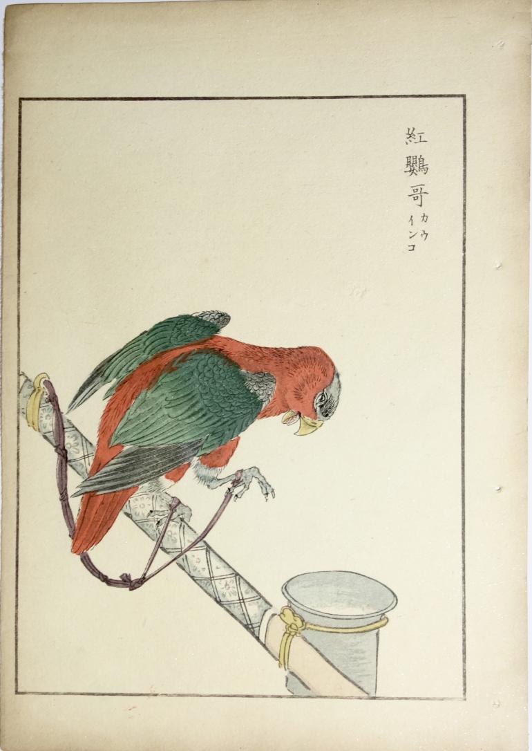 KASHU Numata