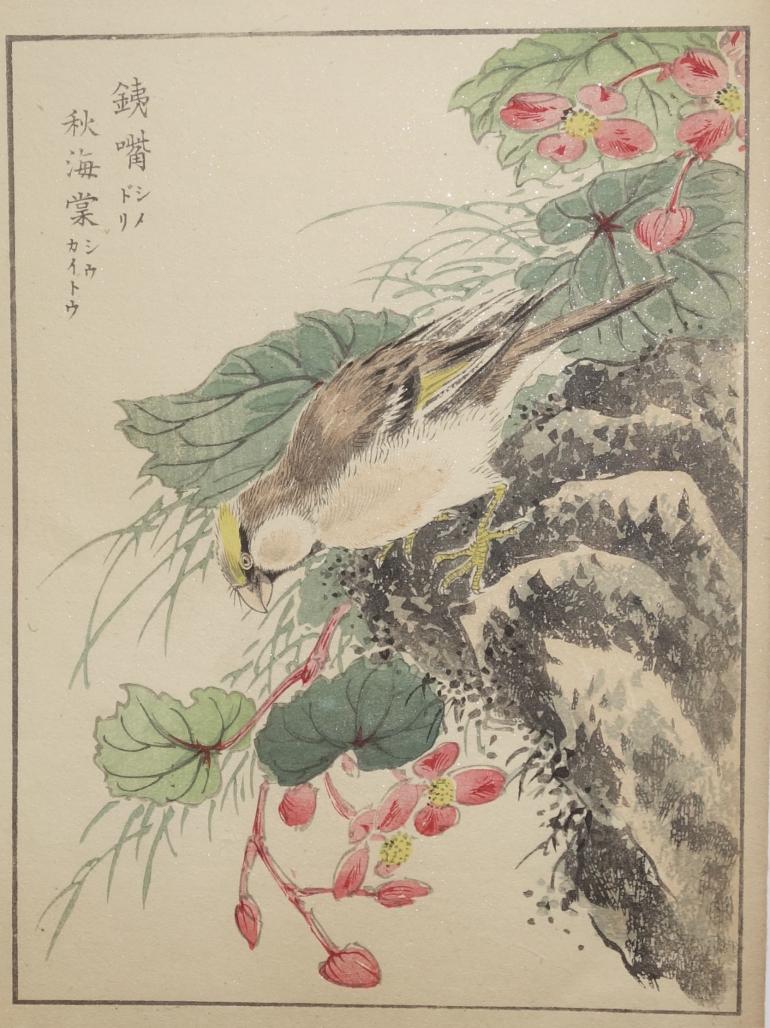 KASHU Numata