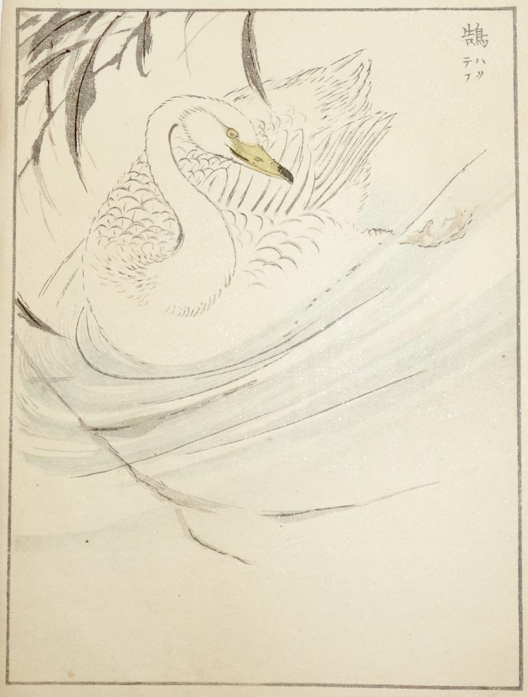 KASHU Numata