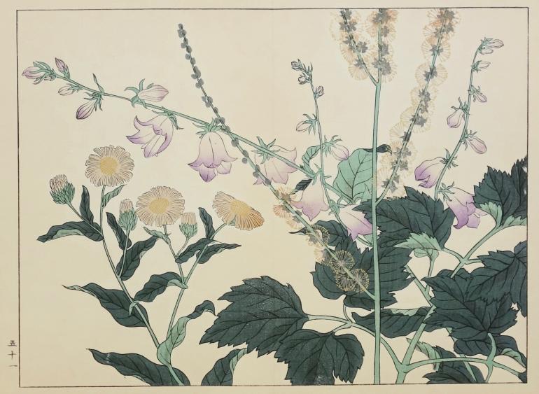 ECOLE JAPONAISE  XIXe XXe