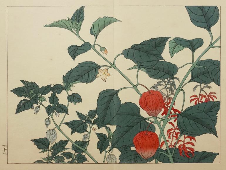ECOLE JAPONAISE  XIXe XXe