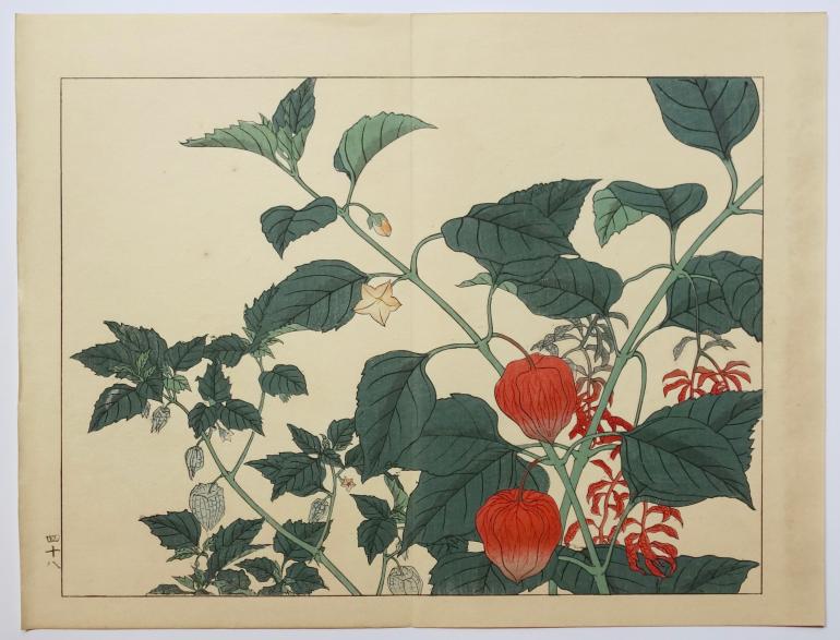 ECOLE JAPONAISE  XIXe XXe