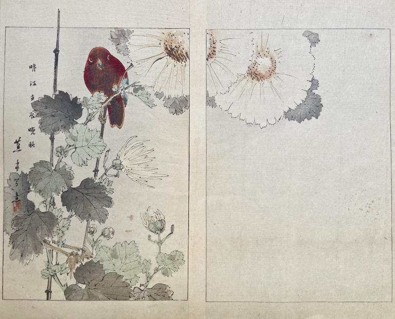 SHOSO Mishima