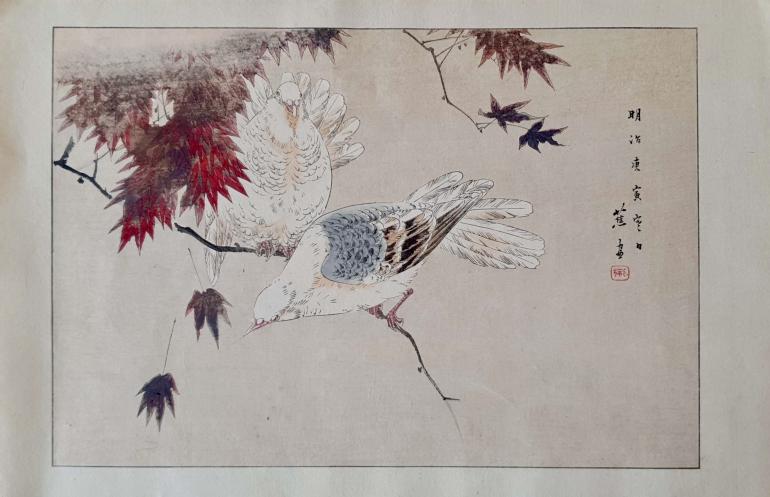 SHOSO Mishima