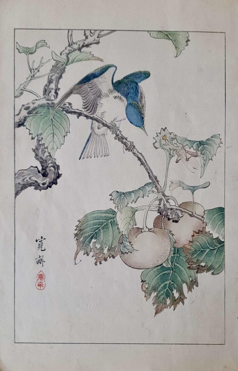 KWAMPO Araki