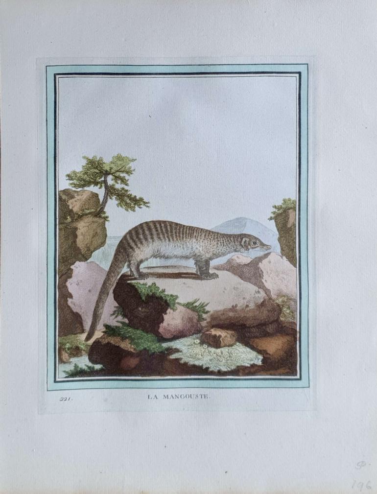 MARTINET, François Nicolas