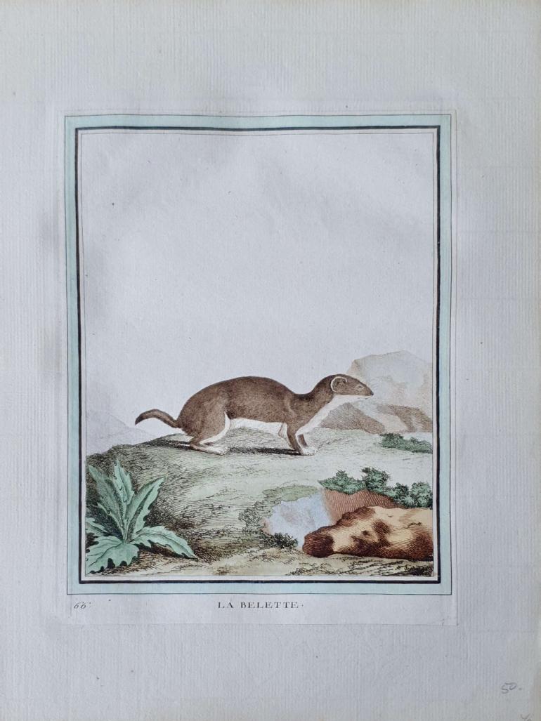 MARTINET, François Nicolas