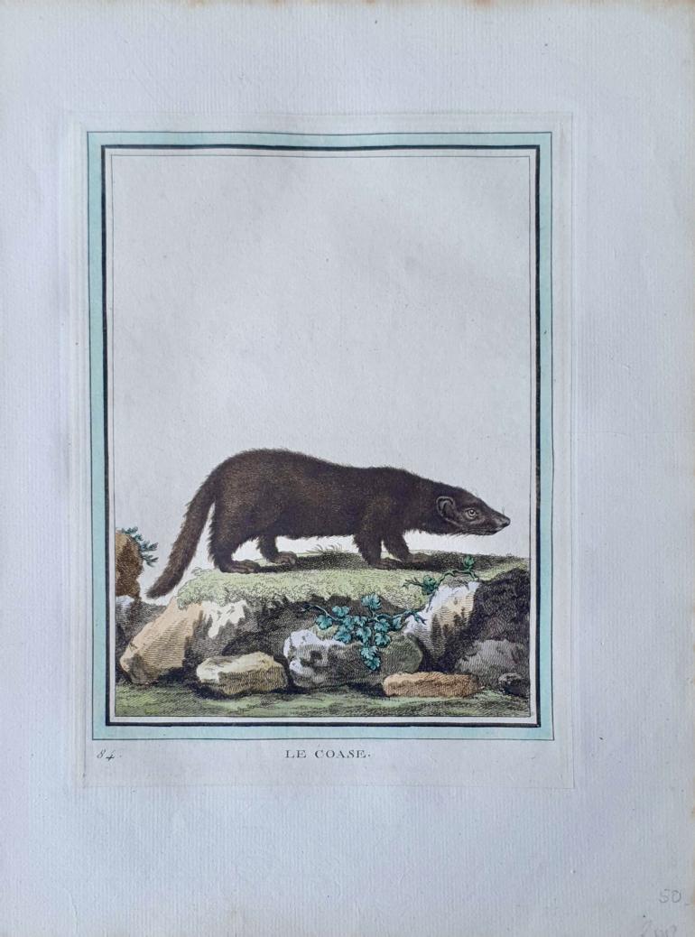 MARTINET, François Nicolas