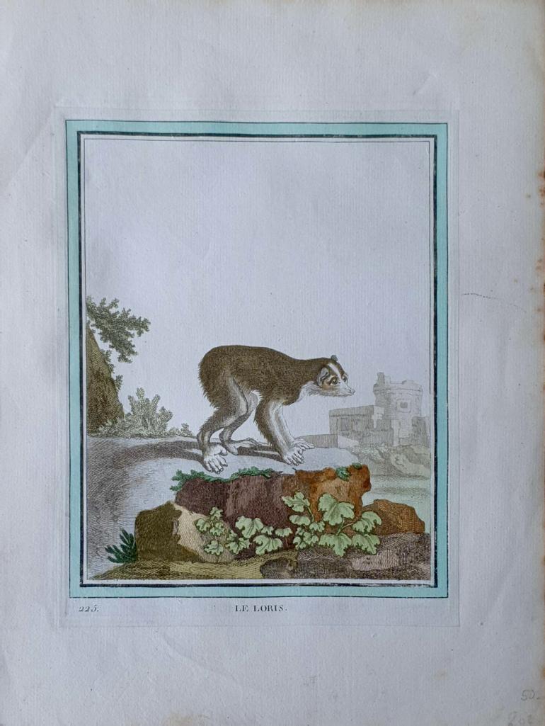 MARTINET, François Nicolas