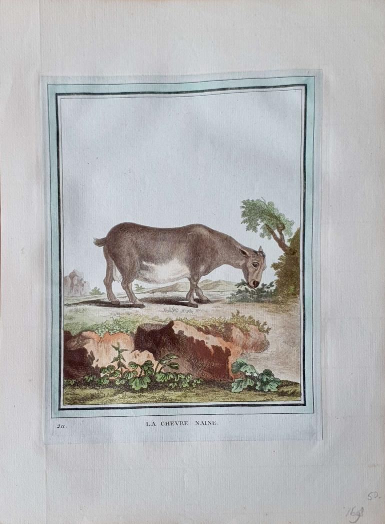 MARTINET, François Nicolas