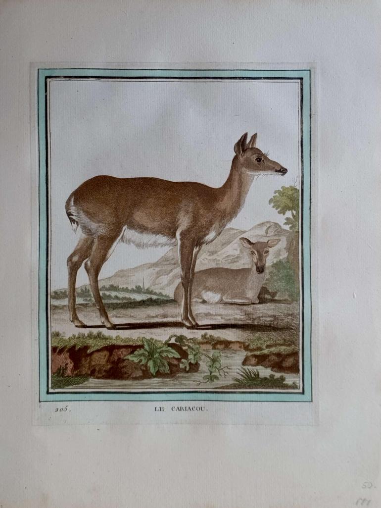 MARTINET, François Nicolas