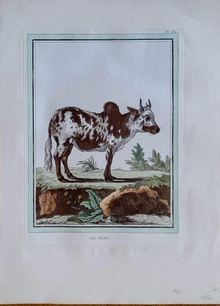 MARTINET, François Nicolas