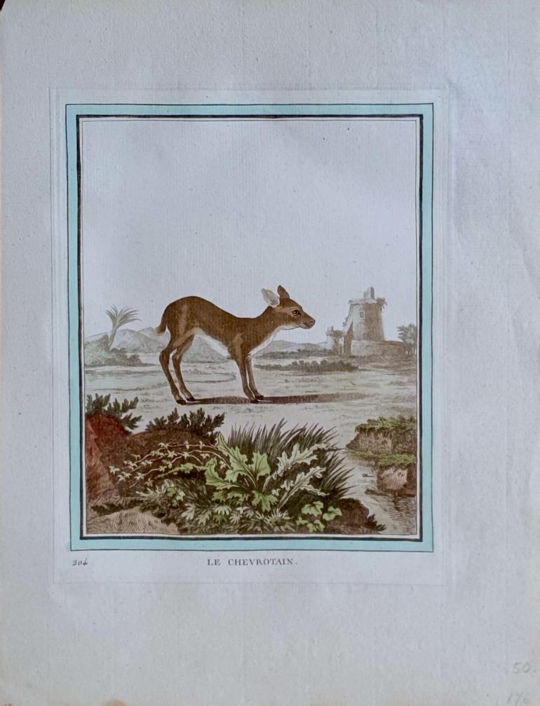 MARTINET, François Nicolas