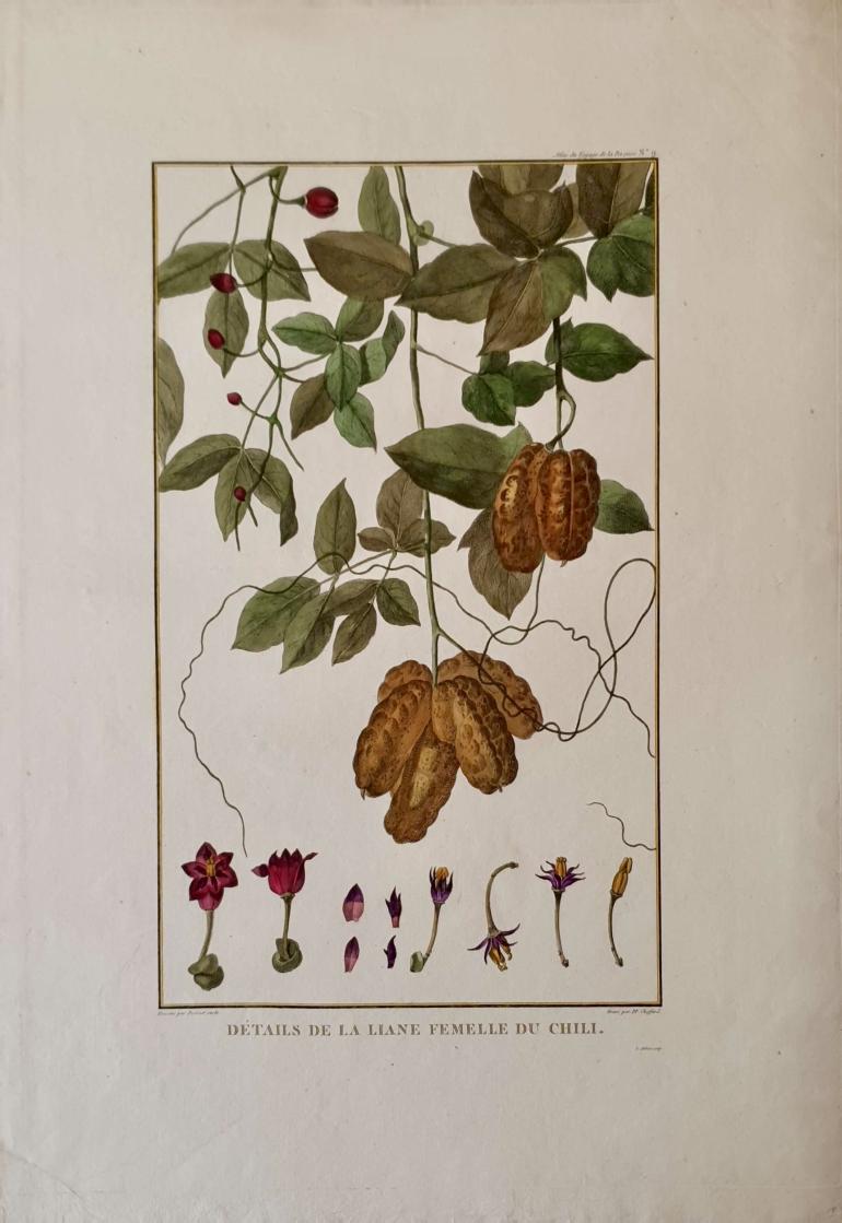CHOFFARD Pierre-Philippe