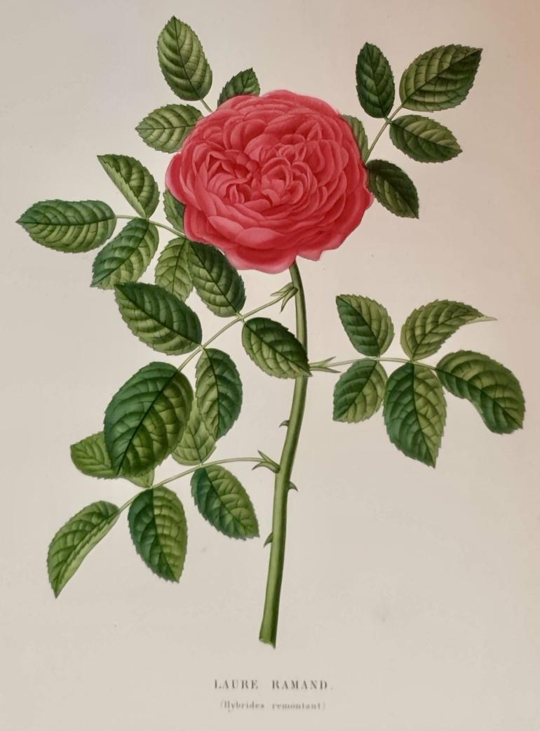 PAQUET Victor