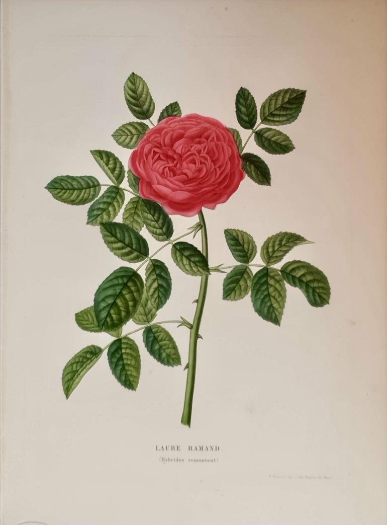 PAQUET Victor